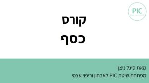 ריפוי כסף בשיטת PIC