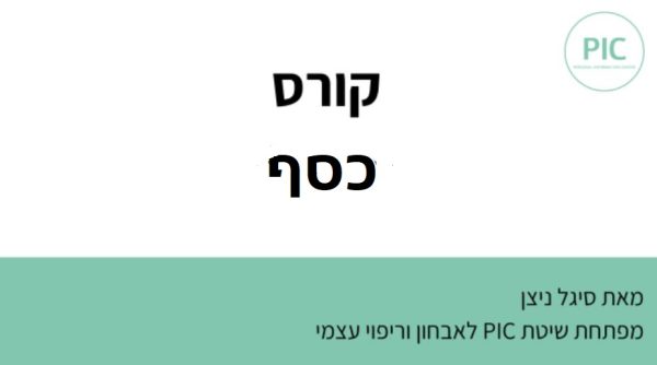 ריפוי כסף בשיטת PIC